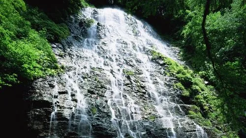 高性能智能化稳定性